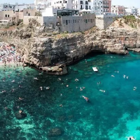 Republic Bitonto